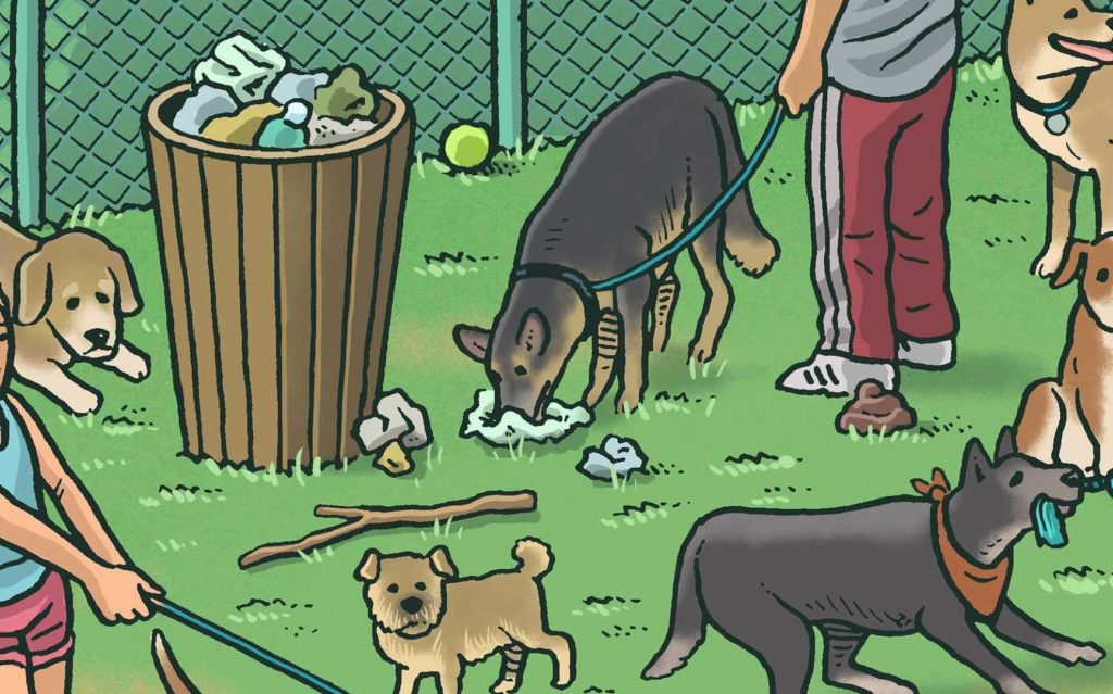 Various dogs mingling in dog park. A dog in the center noses through trash.