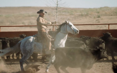 Rancher on horseback corralling cattle with dust flying