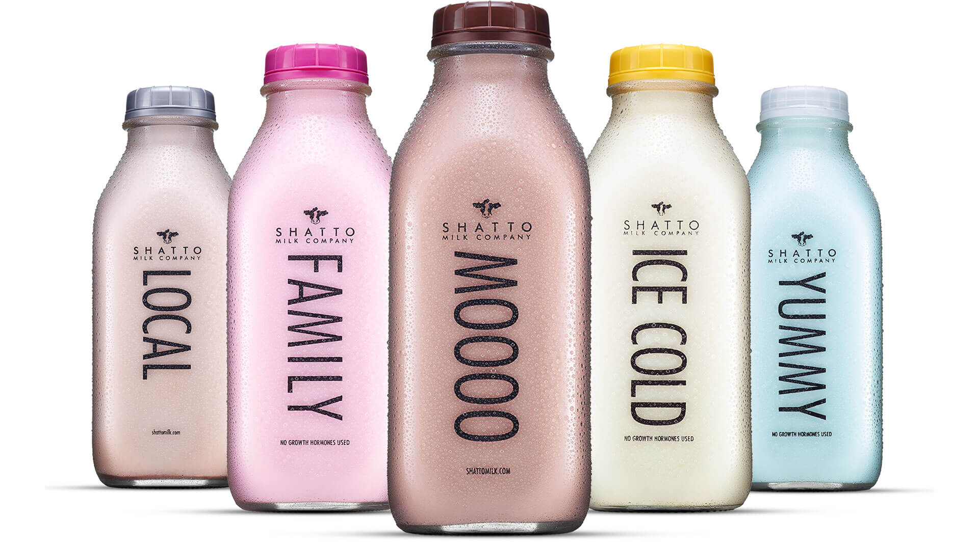 Five bottles of different Shatto Milk flavors with large type saying: LOCAL, FAMILY, MOOO, ICE COLD and YUMMY.