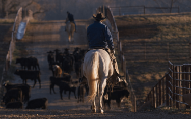 Merck Animal Health Works Cattle Producer