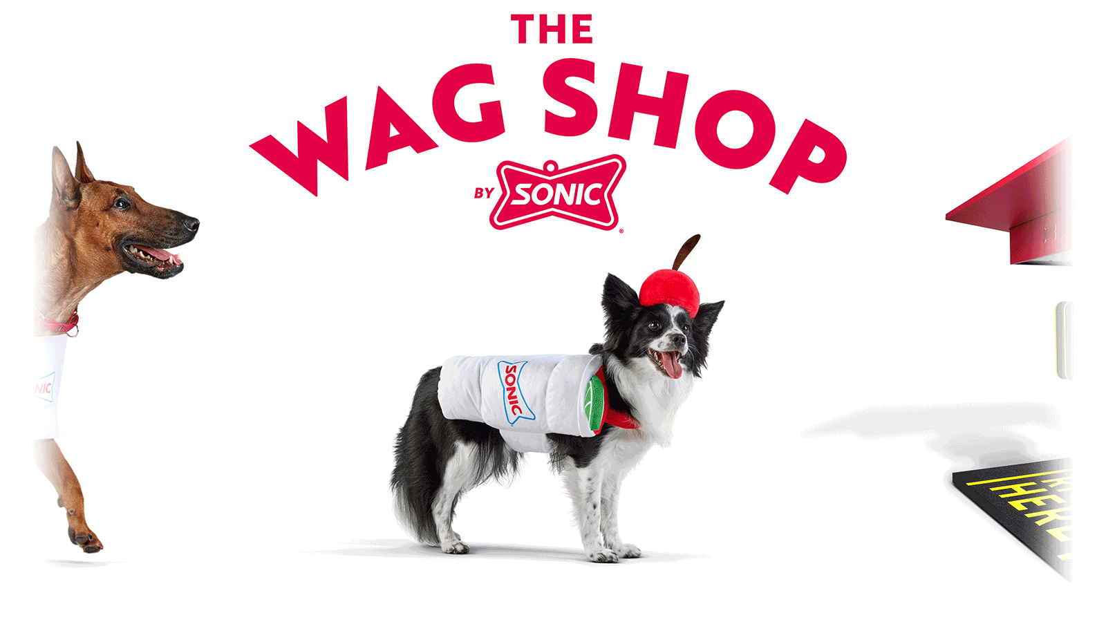 The WAG SHOP by SONIC showing a limeade and hot dog dog costumes, hat, bandanas and toys that look like a corn dog, tots and a limeade.
