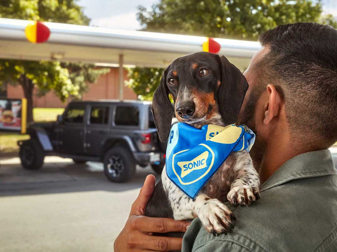 Dachshund wearing a SONIC bandana being carried on man's shoulder