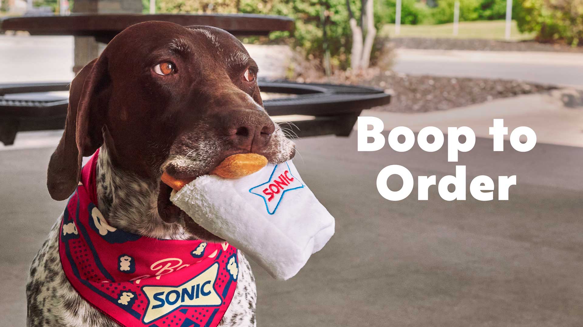 Close up of dog wearing SONIC bandana gripping SONIC tots toy in its mouth on a SONIC patio.
