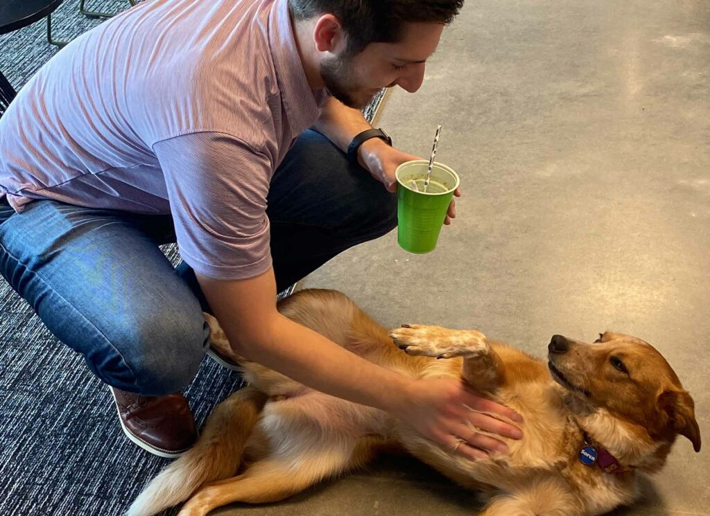 Employee rubbing the belly of a happy Signal Theory office dog